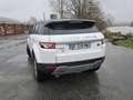 Land Rover Range Rover Evoque Mark I eD4 Prestige Blanc - thumbnail 2