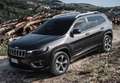 Jeep Cherokee 2.2D Limited 4x4 ADII Aut. 147kW Weiß - thumbnail 24