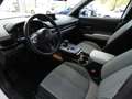 Mazda MX-30 e-SkyActiv EV 145 Exclusive-line 36 kWh | Navigati Wit - thumbnail 21