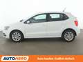 Volkswagen Polo 1.2 TSI Comfortline BlueMotion Tech *ALU* Weiß - thumbnail 3