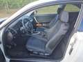 BMW 118 118d Coupé Österreich-Paket Österreich-Paket Weiß - thumbnail 9