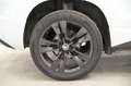 Skoda Karoq 1.6 TDI SCR Sportline Weiß - thumbnail 11