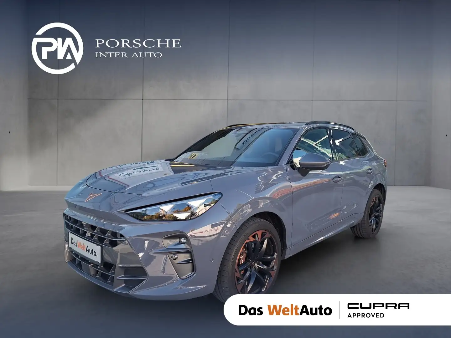 CUPRA Terramar VZ 2.0 TSI 265 PS DSG 4Drive Grau - 1