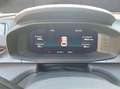CUPRA Terramar VZ 2.0 TSI 265 PS DSG 4Drive Grau - thumbnail 9