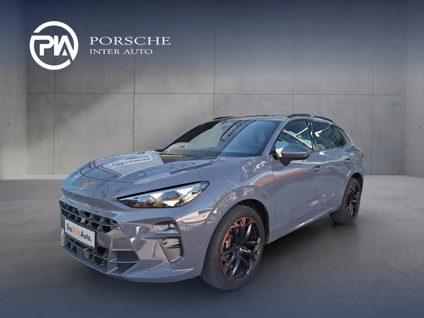 CUPRA Terramar VZ 2.0 TSI 265 PS DSG 4Drive Grau - 1
