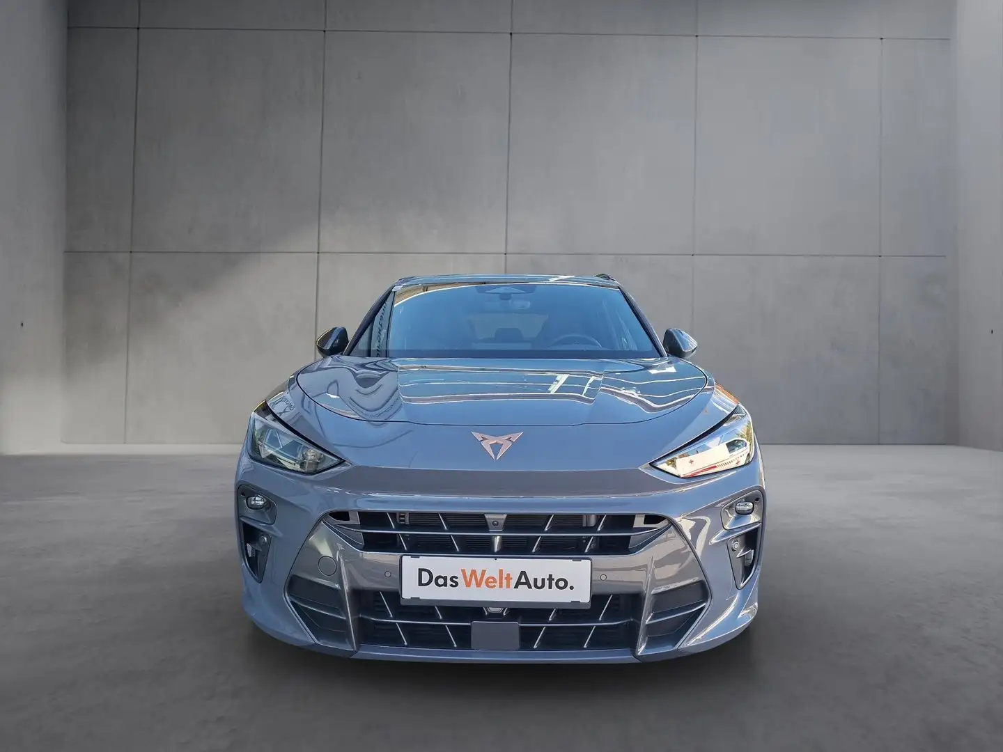 CUPRA Terramar VZ 2.0 TSI 265 PS DSG 4Drive Grau - 2