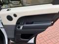 Land Rover Range Rover Sport Range Rover SDV6 Sport HSE Dynamic FACELIFT+PANO Weiß - thumbnail 23