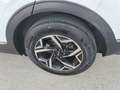 Kia Sportage SPORTAGE 1.6 DIESEL/HYBRID 136 CV DCT BUSINESS Bianco - thumbnail 7