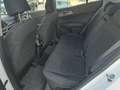 Kia Sportage SPORTAGE 1.6 DIESEL/HYBRID 136 CV DCT BUSINESS Bianco - thumbnail 10