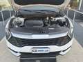 Kia Sportage SPORTAGE 1.6 DIESEL/HYBRID 136 CV DCT BUSINESS Bianco - thumbnail 6