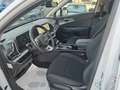 Kia Sportage SPORTAGE 1.6 DIESEL/HYBRID 136 CV DCT BUSINESS Bianco - thumbnail 9