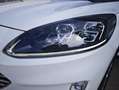 Ford Kuga FHEV Titanium X Autom. Erstbesitz NP € 47.272,- Weiß - thumbnail 36