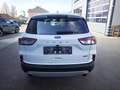 Ford Kuga FHEV Titanium X Autom. Erstbesitz NP € 47.272,- Weiß - thumbnail 22