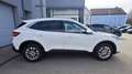 Ford Kuga FHEV Titanium X Autom. Erstbesitz NP € 47.272,- Weiß - thumbnail 31