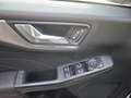 Ford Kuga FHEV Titanium X Autom. Erstbesitz NP € 47.272,- Weiß - thumbnail 4