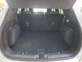 Ford Kuga FHEV Titanium X Autom. Erstbesitz NP € 47.272,- Weiß - thumbnail 23