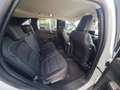 Ford Kuga FHEV Titanium X Autom. Erstbesitz NP € 47.272,- Weiß - thumbnail 27