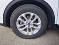Ford Kuga FHEV Titanium X Autom. Erstbesitz NP € 47.272,- Weiß - thumbnail 37