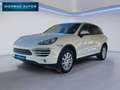 Porsche Cayenne Diesel Aut. Bianco - thumbnail 1