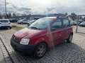 Fiat Panda 1.2 8V Emotion - Kein TÜV - Klima - Rot - thumbnail 1