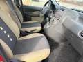 Fiat Panda 1.2 8V Emotion - Kein TÜV - Klima - Rot - thumbnail 12