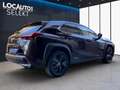 Lexus UX 250h Executive 2wd cvt - PROMO Nero - thumbnail 4