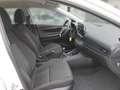 Hyundai i20 FL (MY25) 1.2 Benzin (79 PS) 5-MT 2WD Select Weiß - thumbnail 15