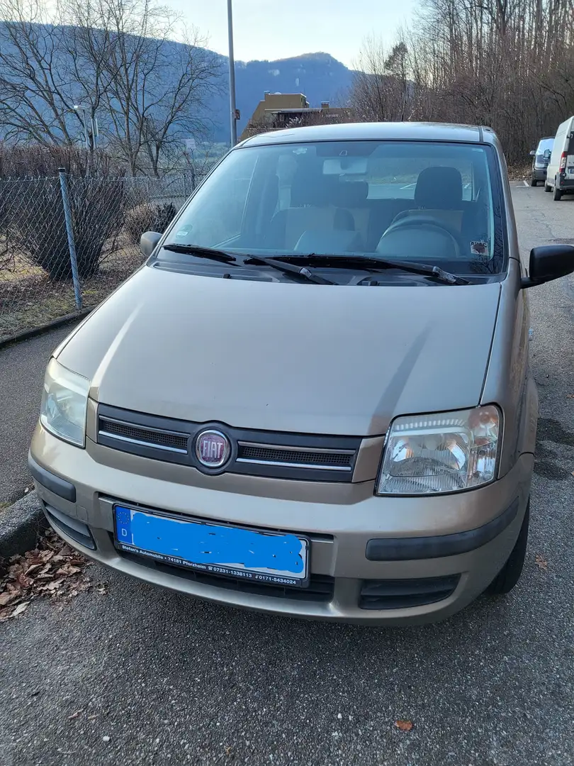 Fiat Panda 1.2 Alessi Braun - 1