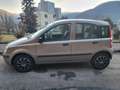 Fiat Panda 1.2 Alessi Braun - thumbnail 2