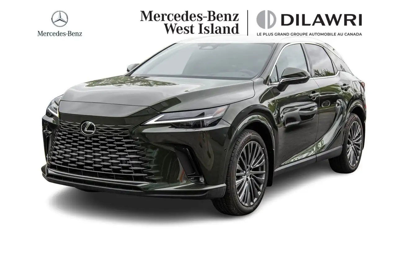 2025 Lexus RX