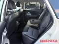 Kia Niro EV Edition 7 Carplay Tempomat Kamera Weiß - thumbnail 15