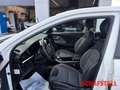 Kia Niro EV Edition 7 Carplay Tempomat Kamera Weiß - thumbnail 10