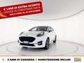 Ford Puma 1.0 ecoboost h st-line s&s 125cv auto Alb - thumbnail 1