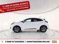 Ford Puma 1.0 ecoboost h st-line s&s 125cv auto Alb - thumbnail 4