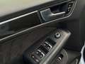 Audi SQ5 3.0 TDI V6 Quattro PANO/CARBON/TREKHAAK/KEYLESS/CA Wit - thumbnail 13