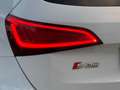 Audi SQ5 3.0 TDI V6 Quattro PANO/CARBON/TREKHAAK/KEYLESS/CA Wit - thumbnail 10