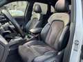 Audi SQ5 3.0 TDI V6 Quattro PANO/CARBON/TREKHAAK/KEYLESS/CA Wit - thumbnail 16