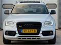 Audi SQ5 3.0 TDI V6 Quattro PANO/CARBON/TREKHAAK/KEYLESS/CA Wit - thumbnail 8