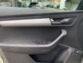Skoda Karoq 2.0 TDI SCR DSG Tour Grau - thumbnail 13