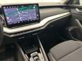 Skoda Octavia Combi Selection 1.5 TSI DSG*NAVI*KAM*SHZ Gris - thumbnail 6