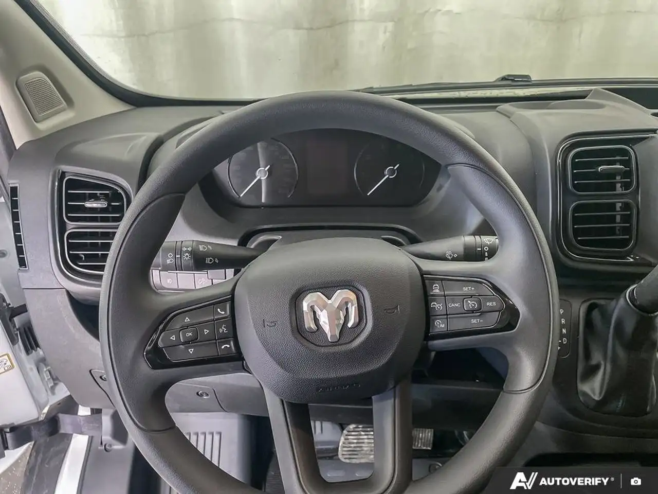 RAM Promaster снимка RAM Promaster