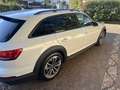 Audi A4 allroad 3.0 V6 tdI BUSINNES EVOLUTION 218CV S TRONIC Blanc - thumbnail 17