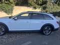 Audi A4 allroad 3.0 V6 tdI BUSINNES EVOLUTION 218CV S TRONIC Blanc - thumbnail 1