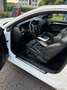 Audi A5 Coupe 3.0 V6 tdi Ambiente quattro - thumbnail 10