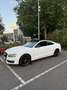 Audi A5 Coupe 3.0 V6 tdi Ambiente quattro - thumbnail 12