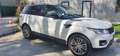 Land Rover Range Rover Sport Range Rover Sport II 2014 3.0 sdV6 HSE 292cv auto Bianco - thumbnail 2
