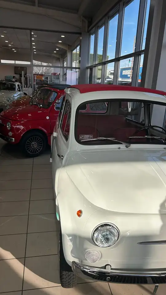 Fiat 500 Giardiniera, foto 3