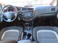 Kia Ceed / cee'd Ceed 1.6 CRDi 136 DCT ISG Platinum Edition Grau - thumbnail 13