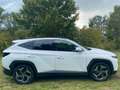 Hyundai TUCSON 1.6 T-GDI PHEV *Navi*ACC*LED*RFKamera* Weiß - thumbnail 8