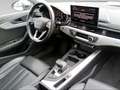 Audi A4 allroad Allroad 40 2.0 tdi mhev Identity Contrast quattro 204cv s-tronic Gris - thumbnail 12